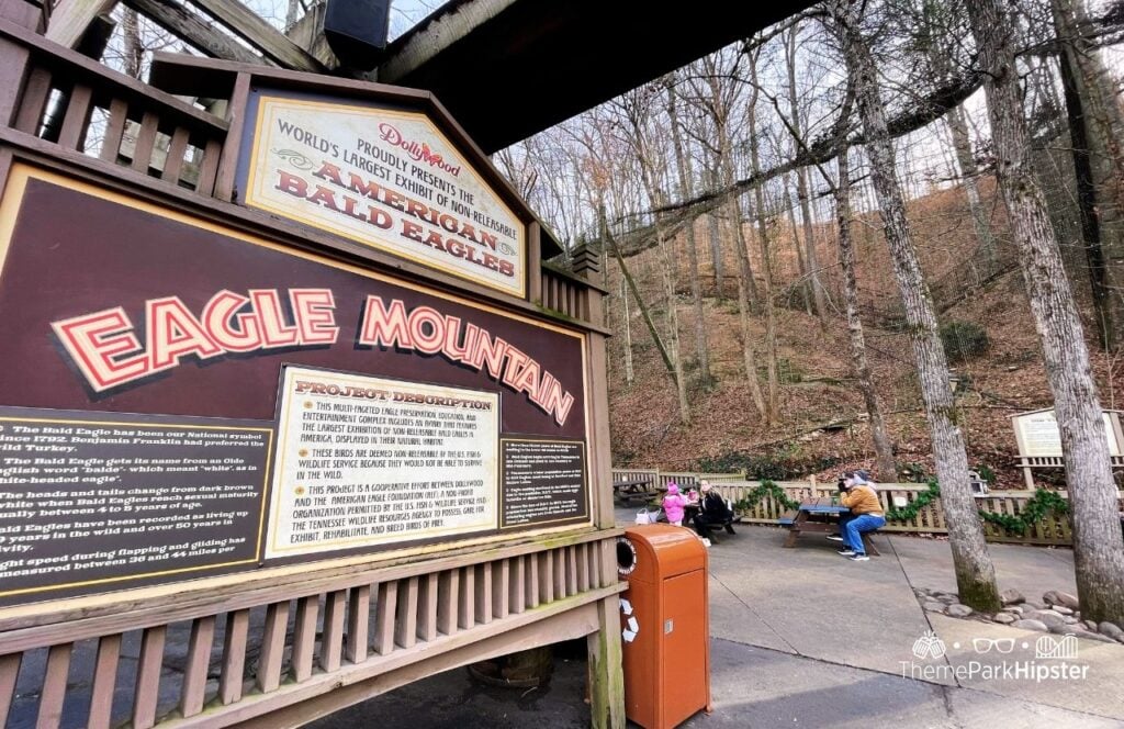 American Bald Eagles Mountain at A Smoky Mountain Christmas Dollywood Theme Park. Keep reading for more tips for visiting Dollywood for the first time.