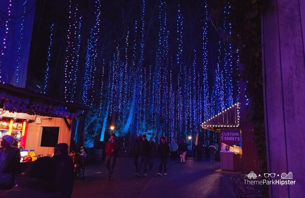 Holiday Lights at A Smoky Mountain Christmas Dollywood Theme Park