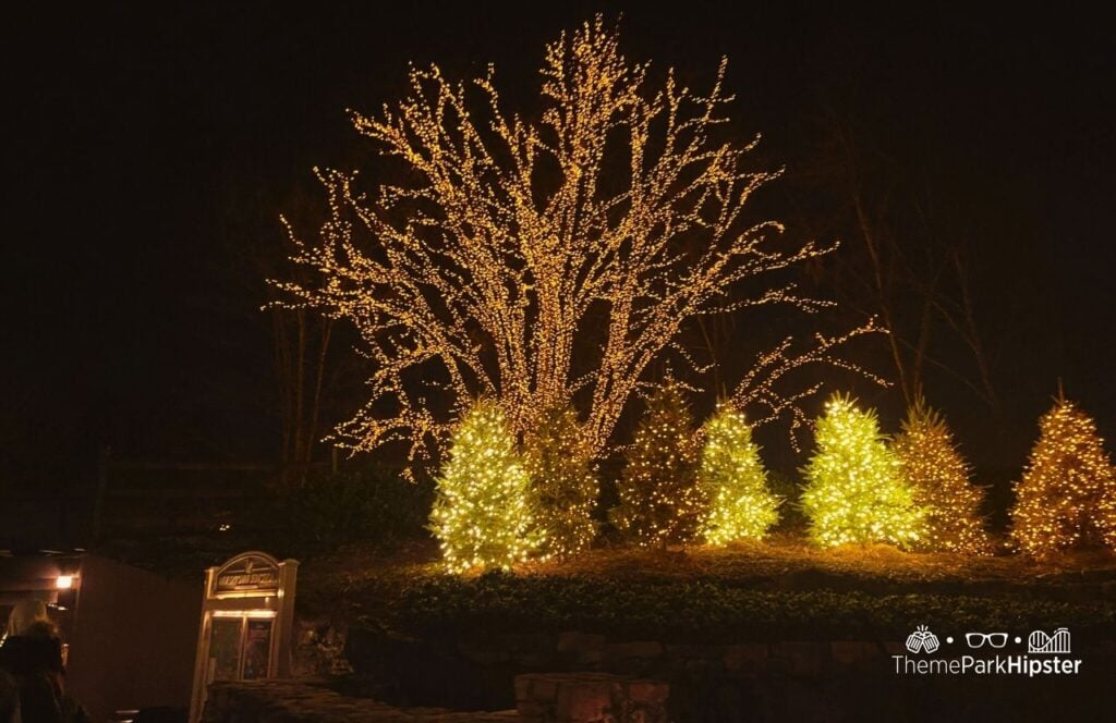 Holiday Lights at A Smoky Mountain Christmas Dollywood Theme Park. Keep reading to find out how to plan the perfect day at Dollywood.