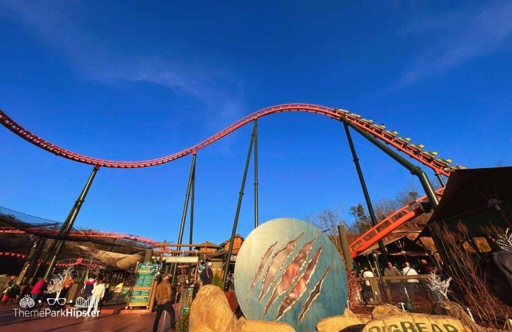 Wildwood Grove Big Bear Mountain Roller Coaster at A Smoky Mountain Christmas Dollywood Theme Park (3)
