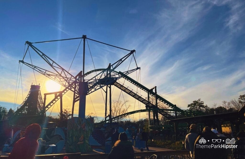 Wildwood Grove The Mad Mocking Bird Ride and Dragon Flier Coaster at Dollywood Theme Park. Keep reading for everything you need to know before your visit to Dollywood.
