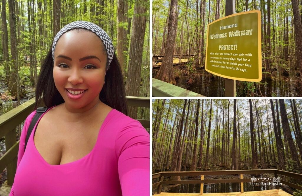 Alaphaha Trail Wetland Trees with NikkyJ Wild Adventures Theme Park Valdosta, Georgia 30th Anniversary