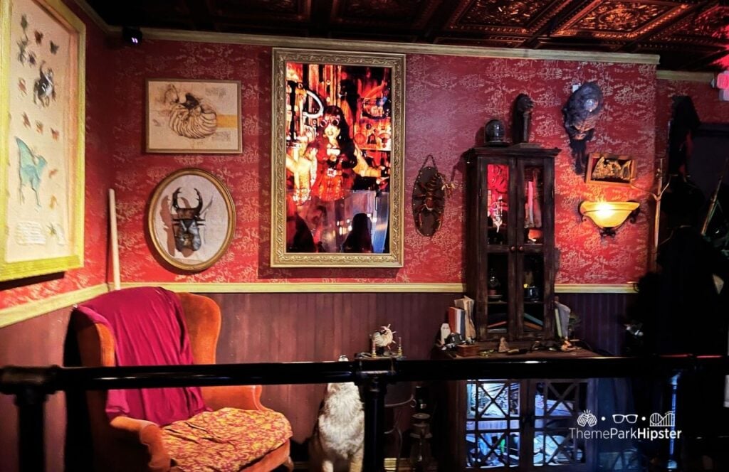 Dr Diabolical’s Cliffhanger Dive Roller Coaster Queue Six Flags Fiesta Texas Theme Park San Antonio