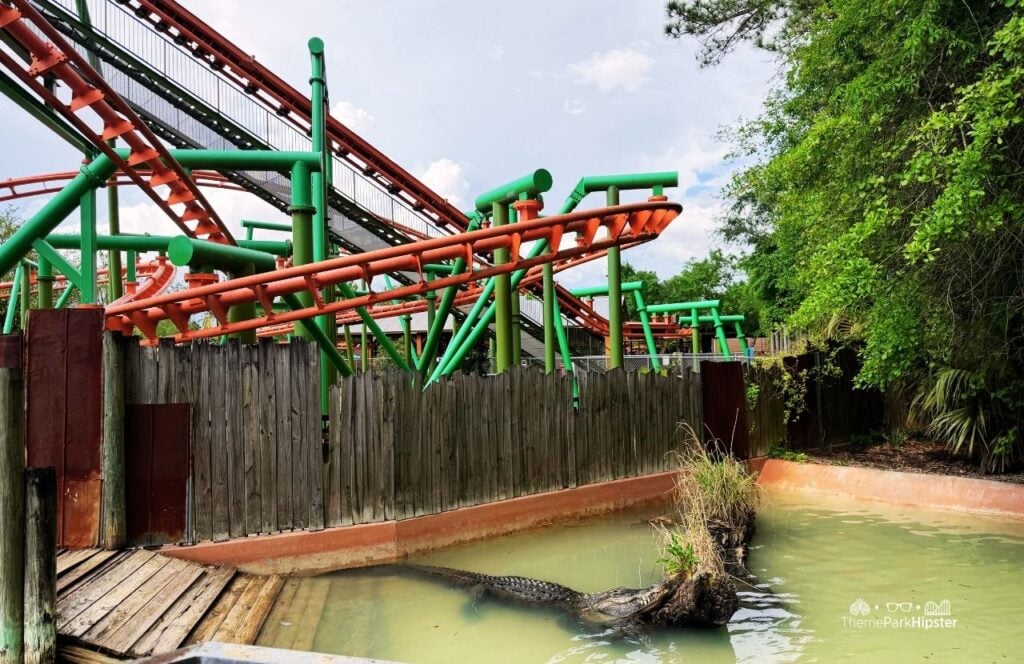 Swamp Thing Roller Coaster with Alligator at Wild Adventures Theme Park Valdosta, Georgia 30th Anniversary