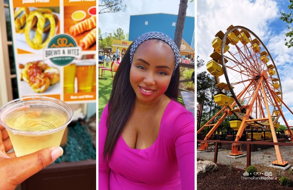 Water's Edge Brews & Bites with NikkyJ and Horizon Ferris Wheel Wild Adventures Theme Park Valdosta, Georgia 30th Anniversary