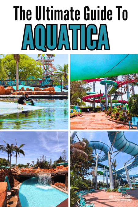 SeaWorld Orlando AQUATICA Water Park Travel Guide